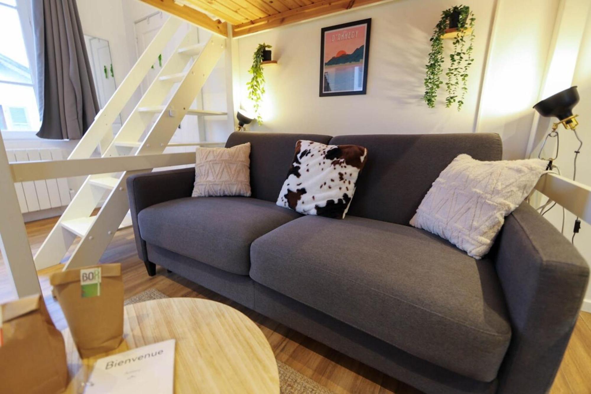 Apartamento Le Petit Plus - Studio Confortable Avec Parking Annecy Exterior foto